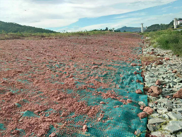 环保草毯有哪些作用?