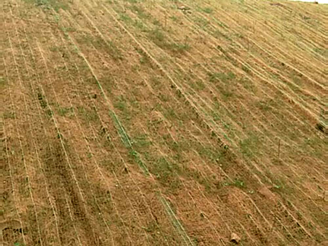 环保草毯出现不长草的现象应该怎么解决?