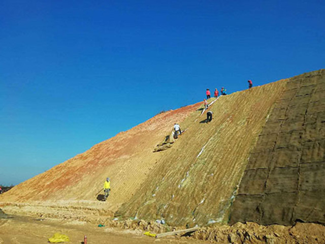 环保草毯的特点有哪些?