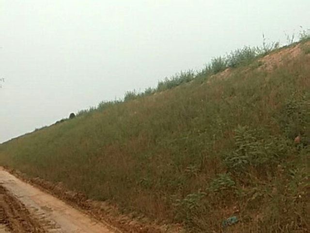 高速护坡椰丝毯
