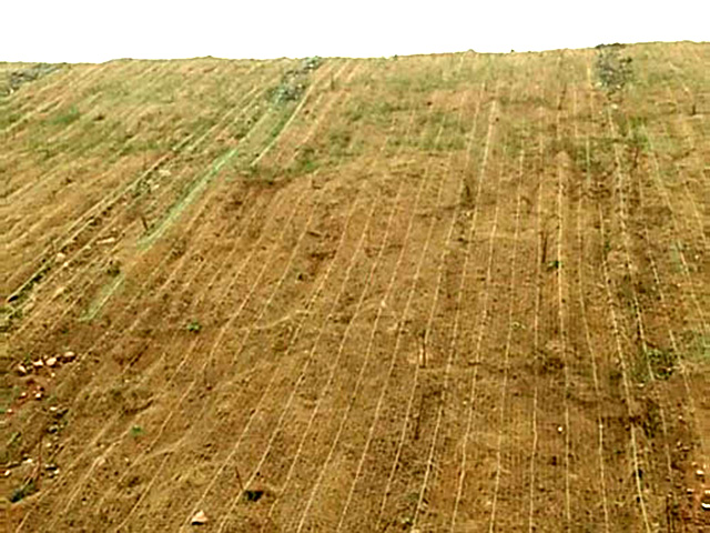 高速护坡椰丝毯