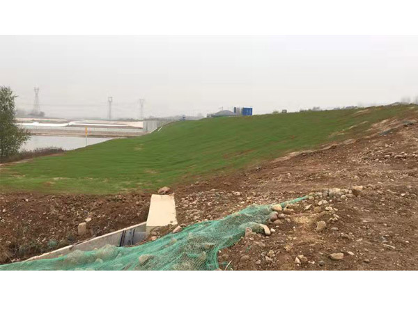 高速护坡椰丝毯