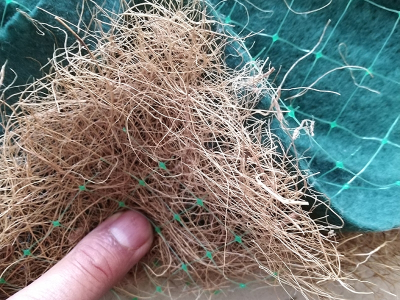 抗冲植物纤维毯